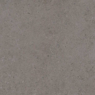 Porcelanosa Tourmalet Granito L9 59.6x59.6