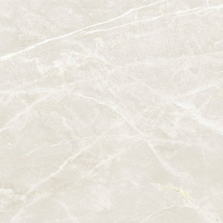 Prissmacer Fior Di Bosco Sand Natural 120x120H1.05