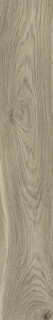 Prissmacer Miro Terra 19,5x120