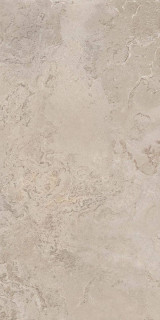ProConcept Haven Taupe Matt 60x120H0.8