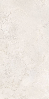 ProConcept Haven Ivory Matt 60x120H0.8