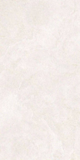 ProConcept North Slate White 60x120H0.8