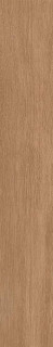 Ribesalbes Bremen Sherwood R10 10x60H0.96