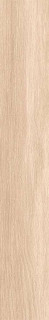 Ribesalbes Bremen Sajonia R10 10x60H0.96