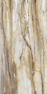 Roca Fossil ST 100x200