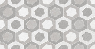 Saloni Cover Lema Gris 31х60