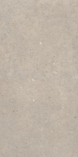 Sanchis Cement Stone Greige Lapp 60x120