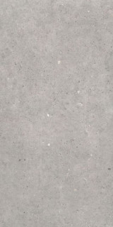 Sanchis Cement Stone Grey 60x120
