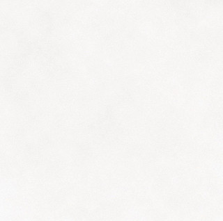 Saloni Pobles Blanco 18.5х18.5