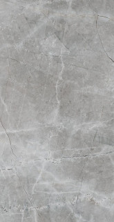 Saloni Sonata Gris 31х60