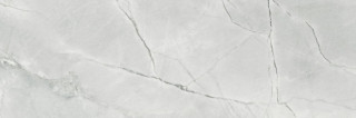 Saloni Teseo Rev. Brillo Gris 40x120