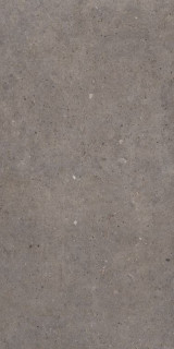 Sanchis Cement Stone Dark Grey Lapp 60x120