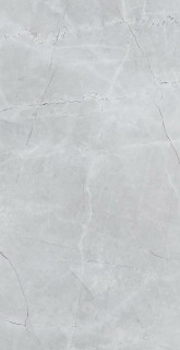 Saloni Sonata Ceniza 31х60