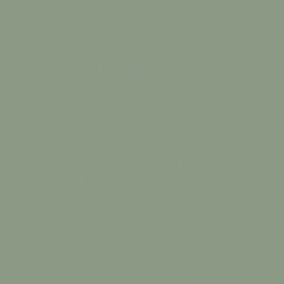 Sanchis Colours Forest 60x60