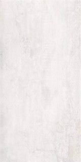 Stylnul (STN) Acier White Mt Rect 60x120