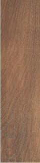 Stylnul (STN) Arcticwood Amber 20,5x61,5