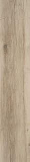 Stylnul (STN) STN Blaze Natural Matt Rect 23×120H0.97