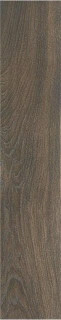 Stylnul (STN) Articwood Mocha Rect 22,7x119,5