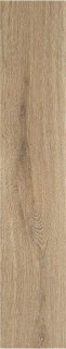 Stylnul (STN) Articwood Camel Rect 22,7x119,5