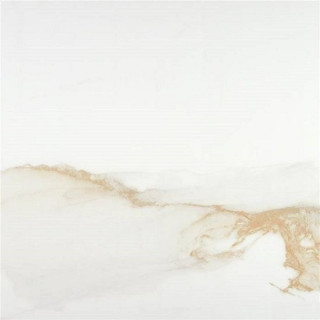 Stylnul (STN) Camile P.E. Sat. Gold Rect 60x60