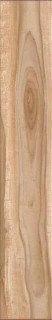 Stylnul (STN) Dreamwood Natural 23x120