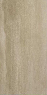 Stylnul (STN) Evolve Brown 60x120