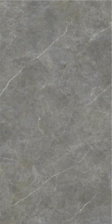 STN Firenze Gris Rect 59,5x120