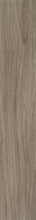 STN Ceramica Kirova MT Sauce 15x90