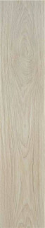 Stylnul (STN) P.E. Kael Tortola MT 30x150H1