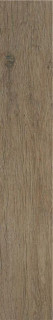 Stylnul (STN) Inout Rigel Nogal MT 15x90