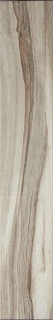 Stylnul (STN) Mukali Taupe 23.2x120