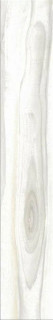Stylnul (STN) Dreamwood Blanco 23.2x120