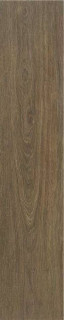 Stylnul (STN) P.E. Lionel Nogal MT 30x150H1
