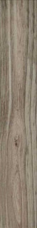 Stylnul (STN) Cypress Taupe 23.2x120