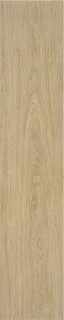 Stylnul (STN) P.E. Lionel Haya MT 30x150H1