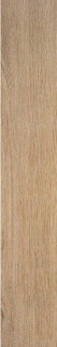 Stylnul (STN) Inout Tacora Camel MT 15x90