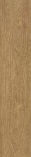 Stylnul (STN) P.E. Lionel Miel MT 30x150H1