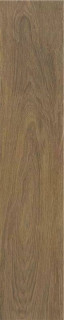 Stylnul (STN) P.E. Lionel Cerezo MT 30x150H1
