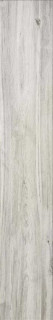 Stylnul (STN) Cypress Mist 23.2x120