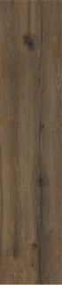 STN Springwood Marron Rect 22,7x119,5