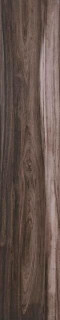 Stylnul (STN) Sambu Tabaco 23x120