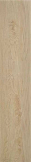 Stylnul (STN) P.E. Tiare Haya MT 23x120H0.97