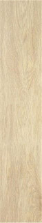 Stylnul (STN) STN Tacora Beige Mt Rect 23×120