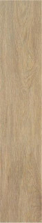 Stylnul (STN) STN Tacora Camel Mt Rect 23×120