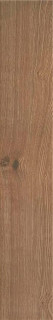STN Ceramica Uvana Beige 15x90