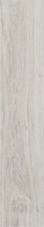 Stylnul (STN) Versat Ash Matt 22.7x119.5