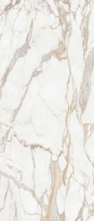 Stylnul (STN) Drac Gold Polished 6mm 120x280H0.6