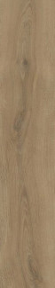 Stylnul (STN) Versat Natural Matt 22.7x119.5
