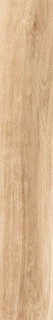 Tau Bohars Camel 20x120