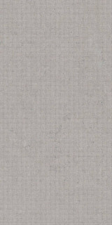 Tau Ceramica Dc. Calcare Silver 60x120H0.78